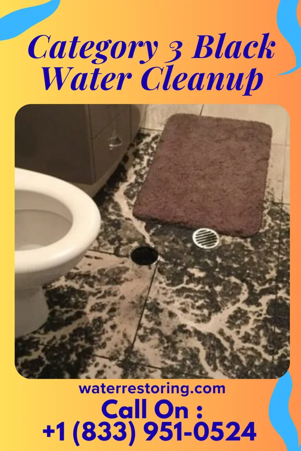 Category 3 Black Water Cleanup in Olympia, WA
