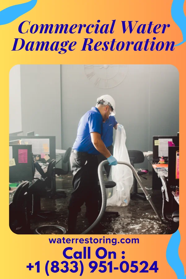 Commercial Water Damage Restoration in Olympia, WA