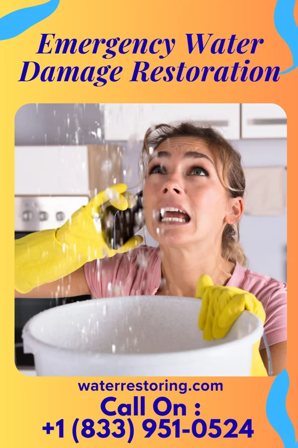 Emergency Water Damage Restoration in Olympia, WA